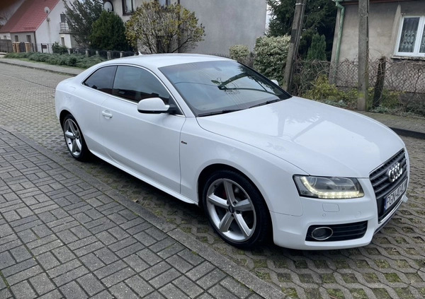 Audi A5 cena 49900 przebieg: 162000, rok produkcji 2010 z Gniezno małe 352